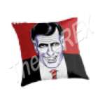 Pillow with a stylized photo